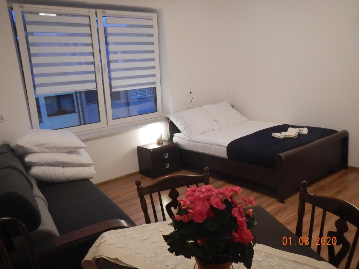 Apartament Providentia Zakopane Witkiewicza 3 מראה חיצוני תמונה