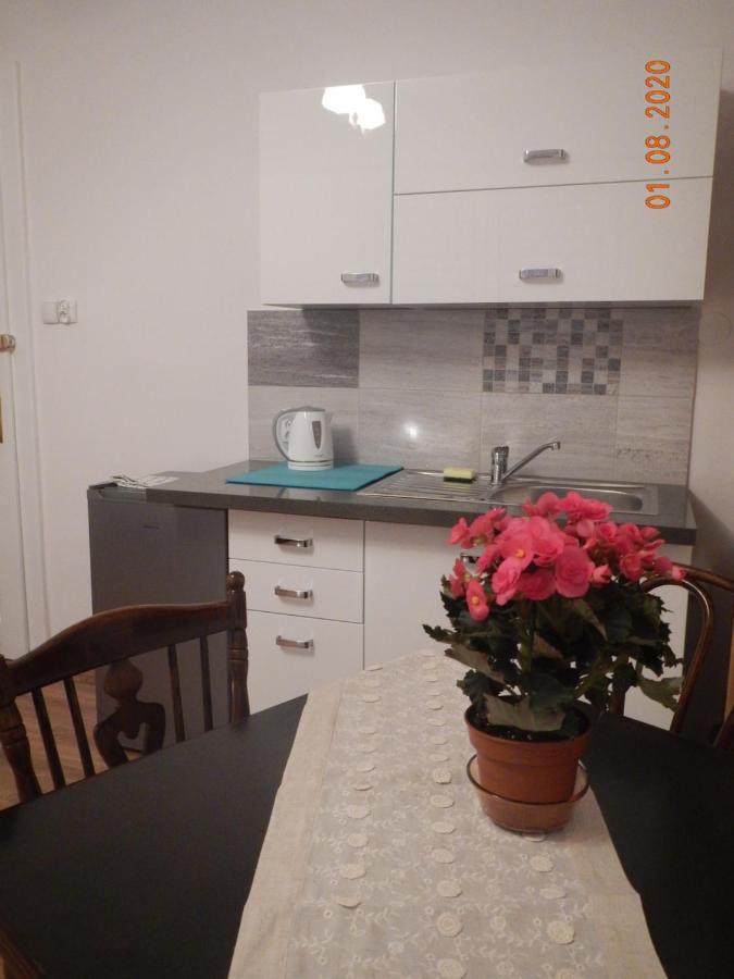 Apartament Providentia Zakopane Witkiewicza 3 מראה חיצוני תמונה