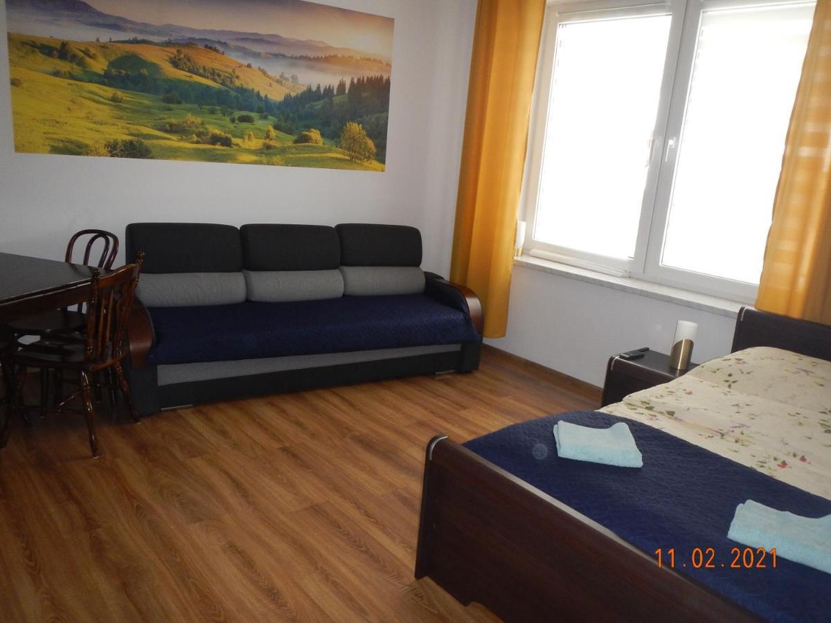 Apartament Providentia Zakopane Witkiewicza 3 מראה חיצוני תמונה