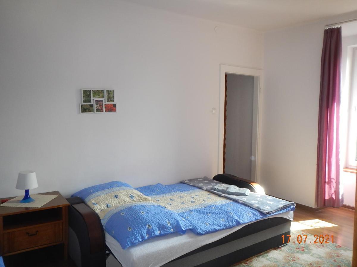 Apartament Providentia Zakopane Witkiewicza 3 מראה חיצוני תמונה
